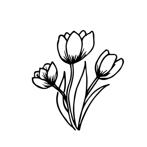 白い背景に隔離された3つのチューリップのドゥドル花束 ベクトル花は 結婚式の装飾 ポストカード 名刺のデザインに使用することができます — ストックベクタ