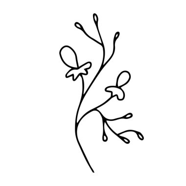 : Beyaz arka planda böğürtlenli ve yapraklı egzotik bir dal çizimi..