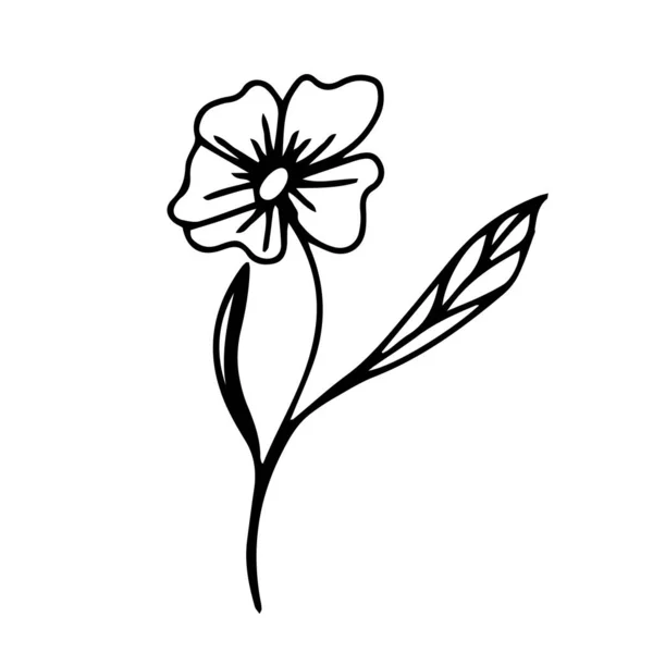 Bouton Dessiné Main Sur Fond Blanc Fleur Vectorielle Peut Être — Image vectorielle