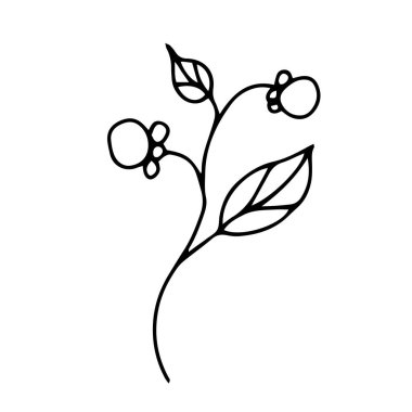 Vektör el, beyaz arka planda yaprakları olan bir dal üzerine yabani böğürtlen çizdi..