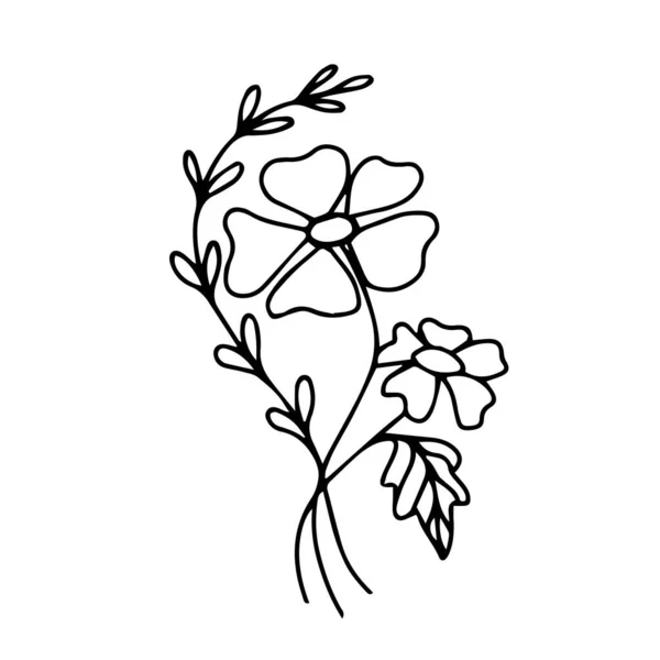 Дикие Цветы Листьями Белом Фоне Нарисованы Рукой Экзотический Летний Цветок — стоковый вектор