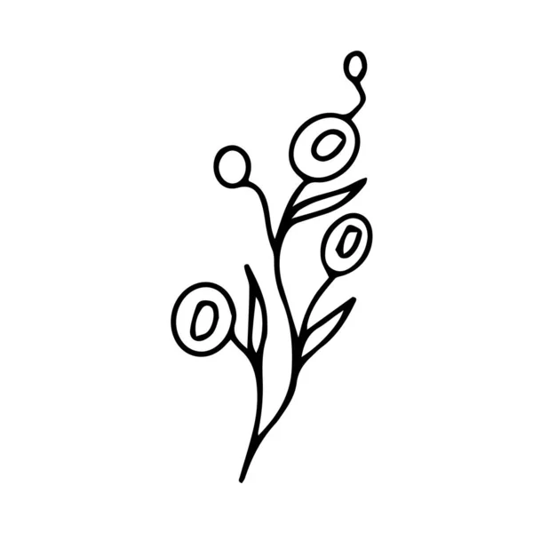Die Handgezeichnete Illustration Einer Wildblume Auf Weißem Hintergrund Ist Isoliert — Stockvektor