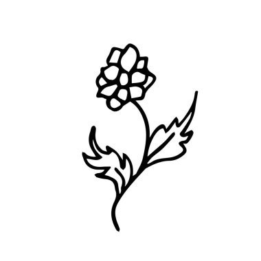 Beyaz arka planda elle çizilmiş iki yapraklı bir vektör çiçeği izole edilir..