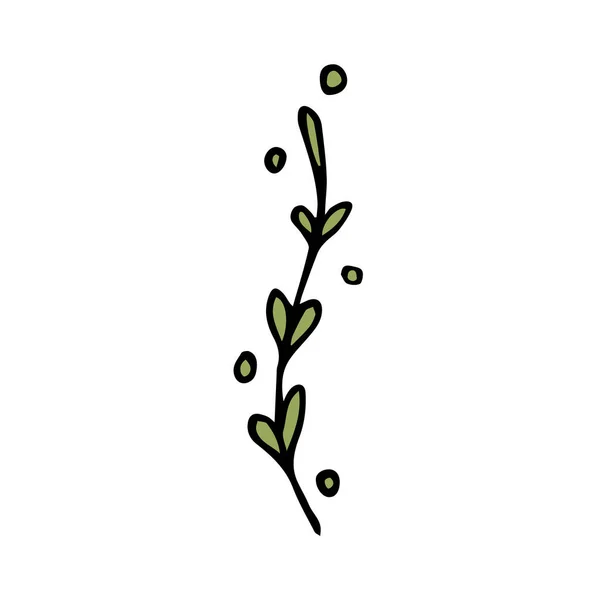 Трава Зелеными Листьями Белом Фоне Изолированными Кругами Завод Ручной Работы — стоковый вектор