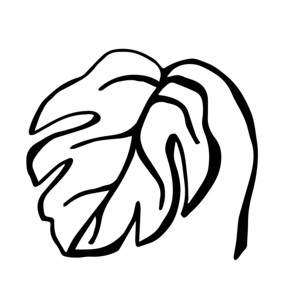 Один Каракули Тропических Листьев Монстра Белом Фоне Изолирован — стоковый вектор