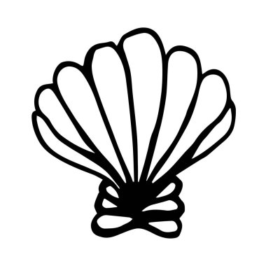 Beyaz arka planda karalama deniz tarağı izole edilmiştir. Deniz kabuğu ambalaj tasarımı, deniz baskıları, kozmetik ürünleri için kullanılabilir.