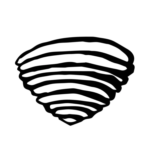 Doodle Coquille Sable Sur Fond Blanc Isolé — Image vectorielle