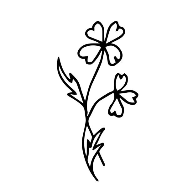 Doodle Два Диких Цветка Листьями Белом Фоне Изолированы — стоковый вектор