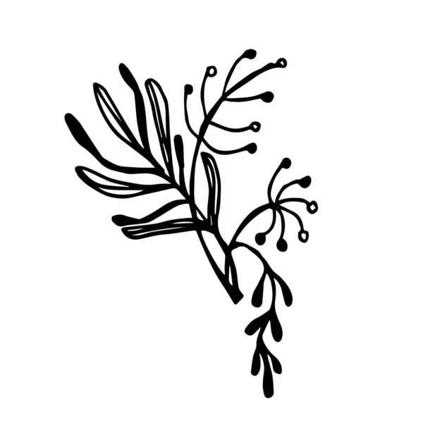 Λουλούδι Και Φύλλα Λευκό Φόντο Διακόσμηση Βοτάνων Απλό Στυλ Γραμμής — Διανυσματικό Αρχείο