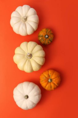 Büyük ve küçük turuncu balkabaklı kompozisyon. Kopya alanlı dikey pankart. Sonbahar hasadı ya da Şükran Günü kavramı..