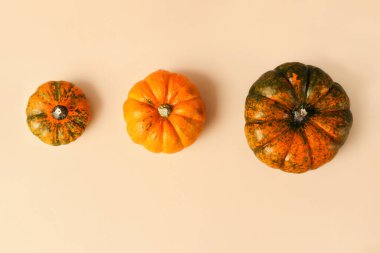 Üç farklı boyutta balkabağı. Bej arka planda küçükten büyüğe. Metin için alanı kopyala.