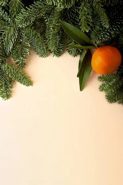 米色的垂直背景，边缘为圣诞树枝条和类似于新年标志的曼达林。复制文字空间，节庆自然布局. — 图库照片