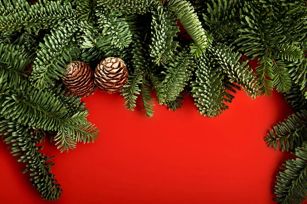 喜庆的红色横向背景 与圣诞树分枝和圆锥相连 抄写文字 新年自然布置 — 图库照片
