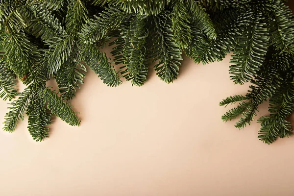 由圣诞树分枝制成的带边框的米色横向背景 复制文字空间 节庆自然布局 — 图库照片