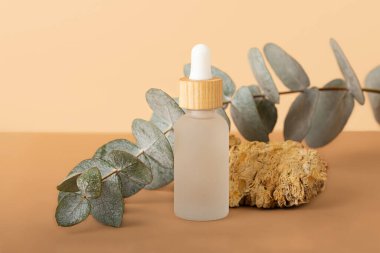 Cosmetics bottle from frosted glass with dropper.Natural decorative stone and fresh eucalyptus branch behind.Trendy beige isometric background,copy space.Concept of the organic product packaging. clipart