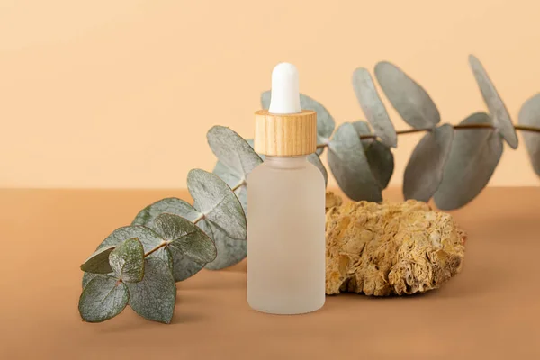 Botella de cosméticos de vidrio esmerilado con gotero. Piedra decorativa natural y rama de eucalipto fresco detrás. Fondo isométrico beige de moda, espacio de copia. Concepto del embalaje del producto orgánico. — Foto de Stock