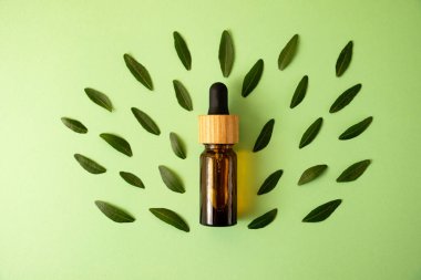Nane arkaplanda damlatan bir kozmetik şişesi. Taze yeşil yapraklar. Sıfır atık, organik ambalaj kavramı..