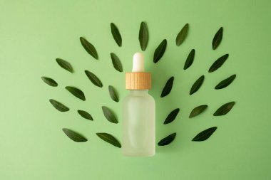 Sıfır atık kozmetik şişesinin dizilişi naneli arka plandaki buzlu camdan, yeşil yapraklarla birlikte. Kozmetik için model, pastel renkli afiş. Organik konsept..