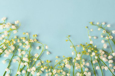 Vadinin zambaklarıyla temiz mavi arkaplan. Taze çiçeklerden güzel bir yay çerçevesi. Metin veya desingasyon için alanı kopyala..
