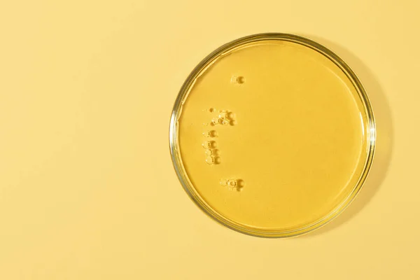 Çinde Baloncuklar Olan Petri Kabının Üst Görüntüsü Kopya Alanlı Sıcak — Stok fotoğraf