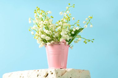 Güzel zambaklar pembe oyuncak kovasında kalabilir çimento podyumunda kalır. Arkasında açık mavi bir zemin vardır. Zaman çiçekleri, vadinin güzel kokulu zambakları, kapatın..