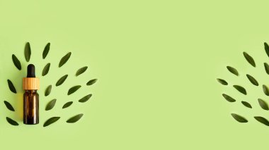 Nane arkaplanda damlatan bir kozmetik şişesi. Taze yeşil yapraklar. Sıfır atık, organik ambalaj kavramı..