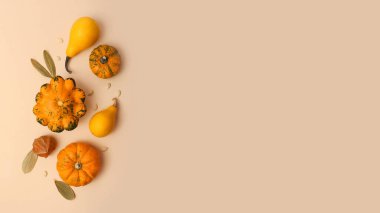 Yatay bej arka plan ve üzerinde farklı kabaklar var. Yakında kuru sonbahar yaprakları ve tohumları var. Oldukça sonbahar arkaplanı. Büyük afiş, metin için boşluk kopyala