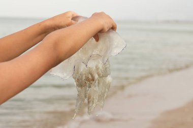 Elinde denizanası tutan bir çocuk. Arka planda deniz kıyısı..