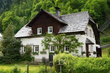 Parlak çiçekli tipik Avusturya Alp evi, Hallstatt, Avusturya, Avrupa