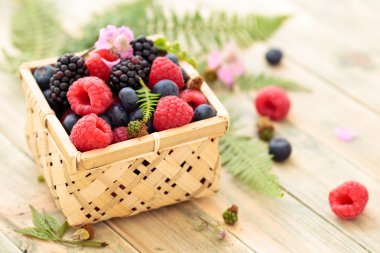 taze orman meyveleri.