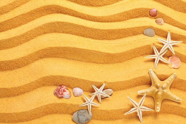 Sfondo di sabbia gialla e conchiglie . — Foto Stock