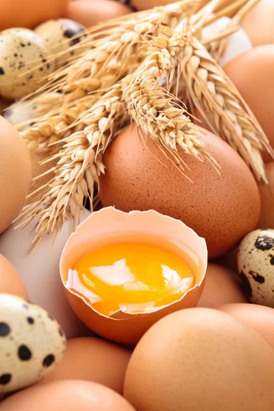 Fresh eggs background. — Stock Photo, Image