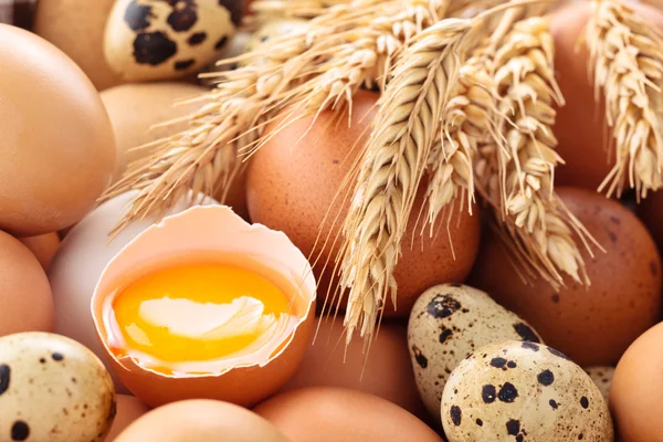 Fresh eggs background. — Stock Photo, Image