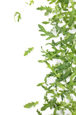 taze roka yaprakları.