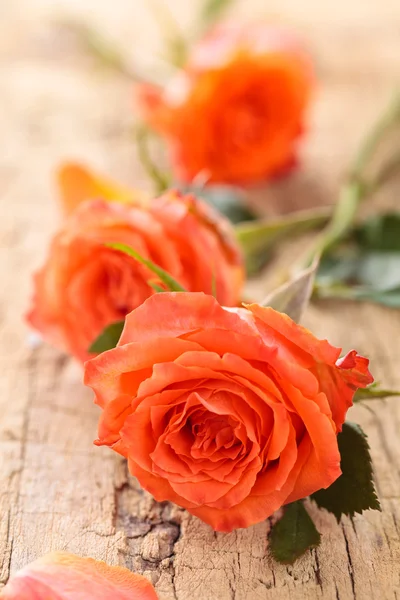 Розы на столе . — стоковое фото