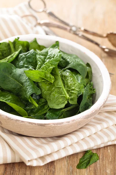 Frische Spinatblätter. — Stockfoto