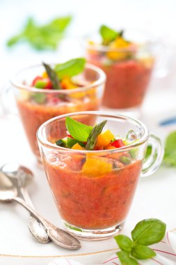  Gazpacho çorbası bardak.