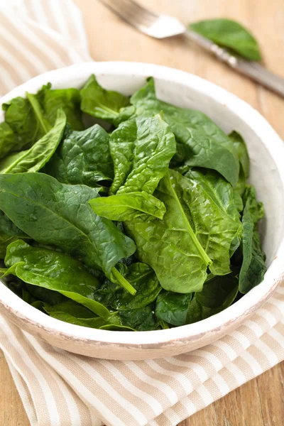 Fresh spinach leaves. — Stock Photo, Image