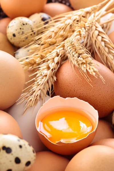 Fresh eggs background. — Stock Photo, Image