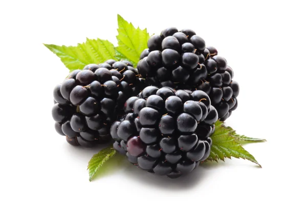 Fresh blackberries with leaves. Stock Picture