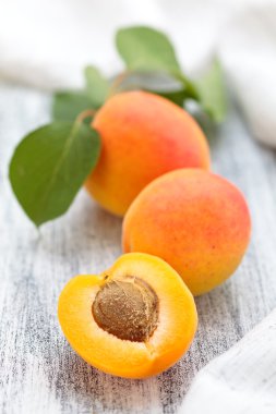 taze olgun kayısı .