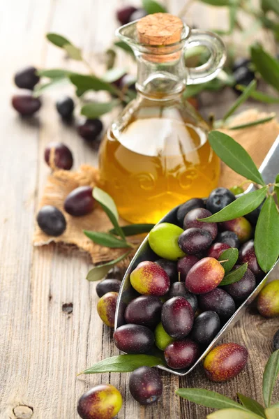 Fresh olives and olive oil. — Stock Photo, Image