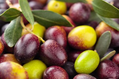 Taze zeytin arka plan.