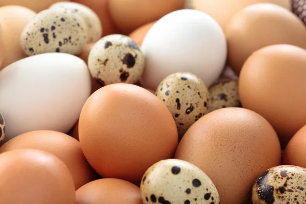 Frische Eier Hintergrund. — Stockfoto