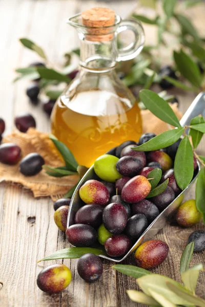 Fresh olives and olive oil. — Stock Photo, Image