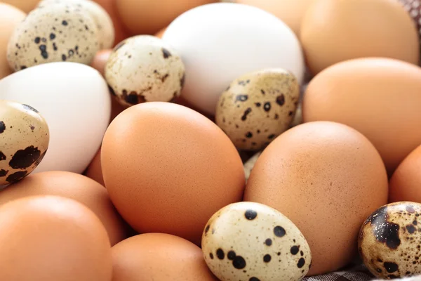 Fresh eggs background. — Stock Photo, Image