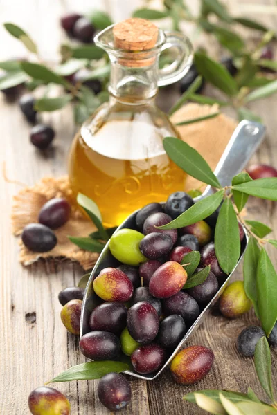Fresh olives and olive oil. — Stock Photo, Image