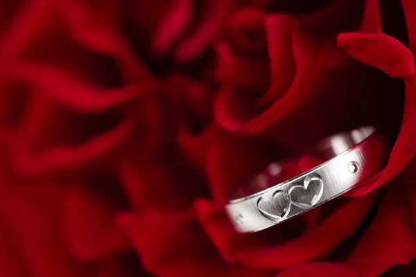 Ring och rose. — Stockfoto