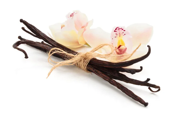 Vanilla pods. — Stock Photo, Image