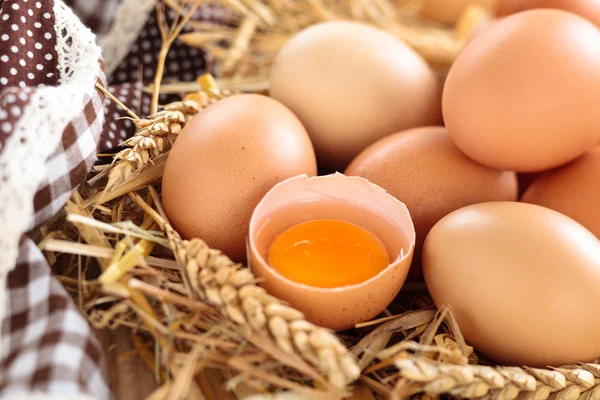 Jordbrukarna ägg. — Stockfoto